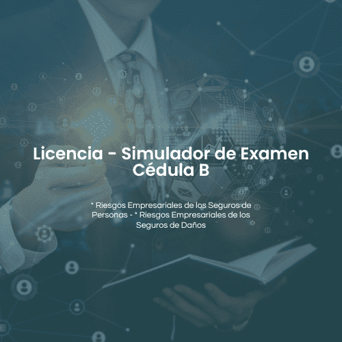 Licencia Simulador Cédula B