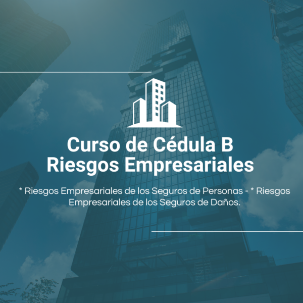Curso Cédula B - Licencia Digital