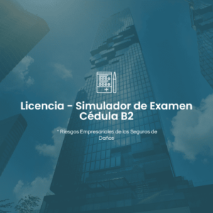 Simulador de Examen Cédula B2 (Daños)
