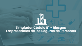 Simulador Cédula B1 - Personas