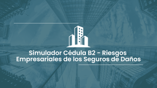 Simulador Cédula B2 - Daños