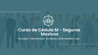 Simulador Cédula M - Seguros Masivos